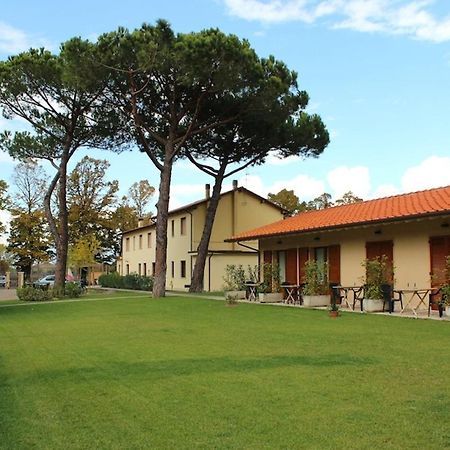 Villa Rosy Torre del Lago Puccini Esterno foto