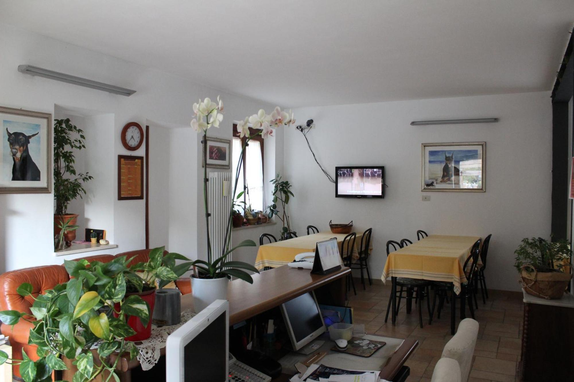 Villa Rosy Torre del Lago Puccini Esterno foto